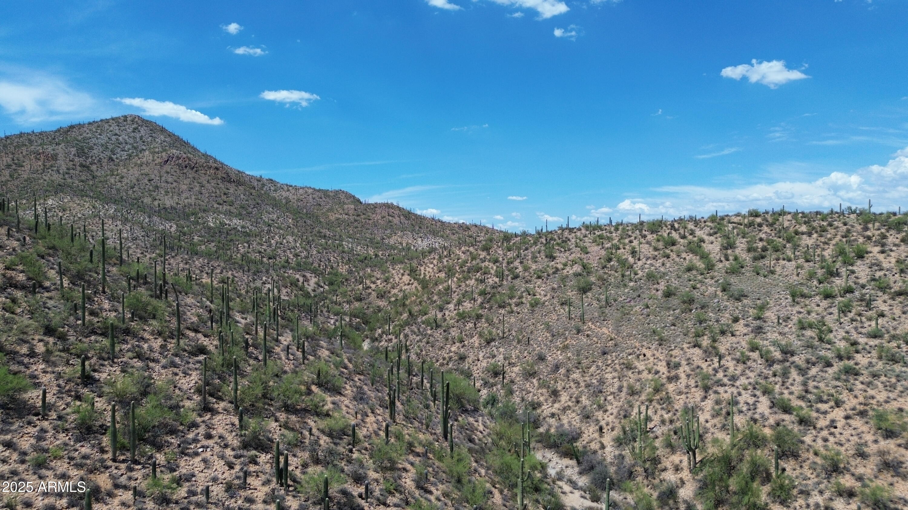 475 South Hotel Service Road Tucson, AZ 85745 - Photo 36 of 62 a view of a dry yard with trees in the background