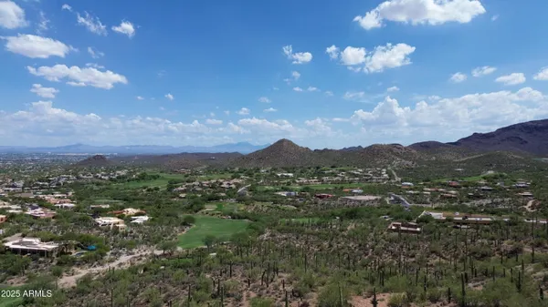 a view of a bunch of trees in the background