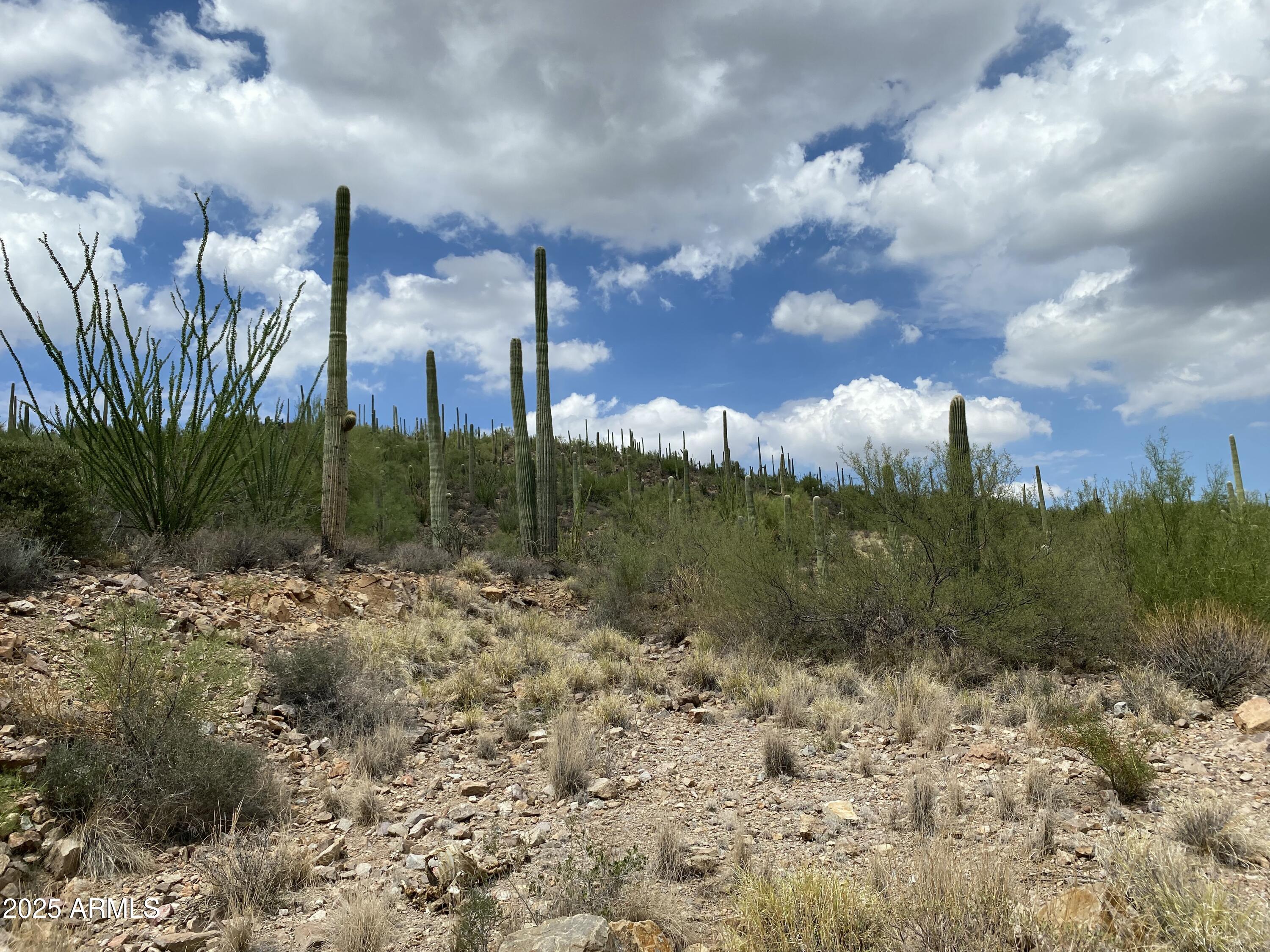 475 South Hotel Service Road Tucson, AZ 85745 - Photo 4 of 62 a view of a lake with a yard