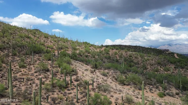 a view of a lake in middle of the forest