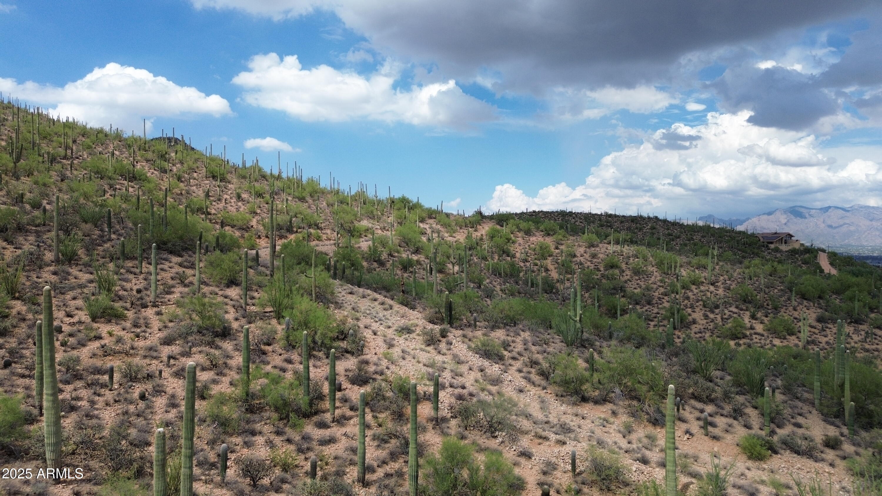 475 South Hotel Service Road Tucson, AZ 85745 - Photo 44 of 62 a view of a bunch of trees in the background