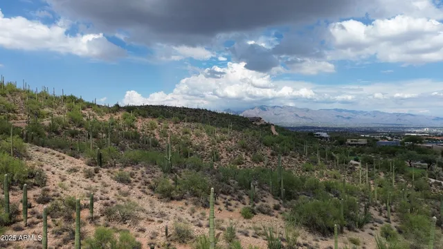 a view of a city with mountains in the background