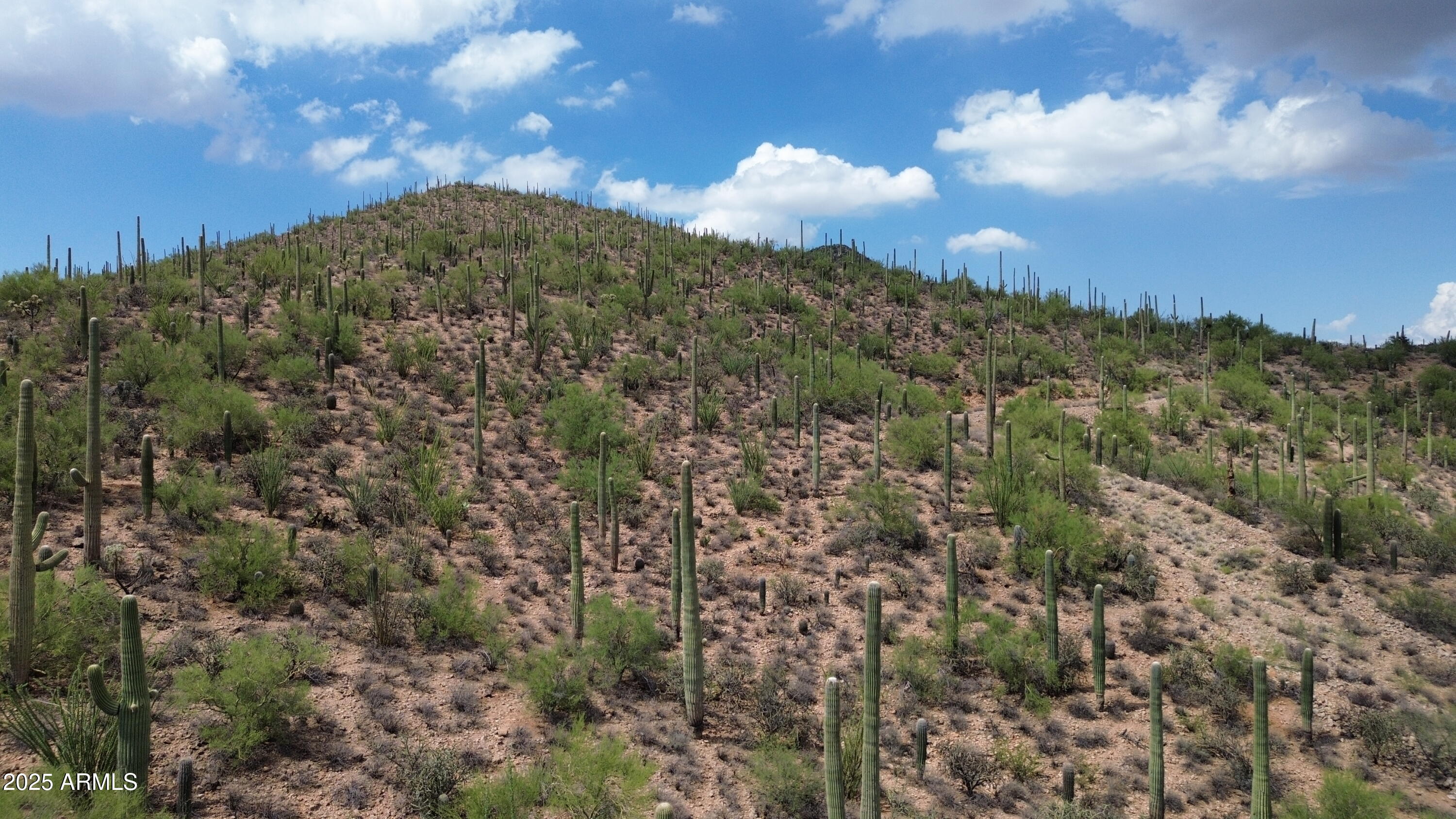 475 South Hotel Service Road Tucson, AZ 85745 - Photo 47 of 62 a view of a building