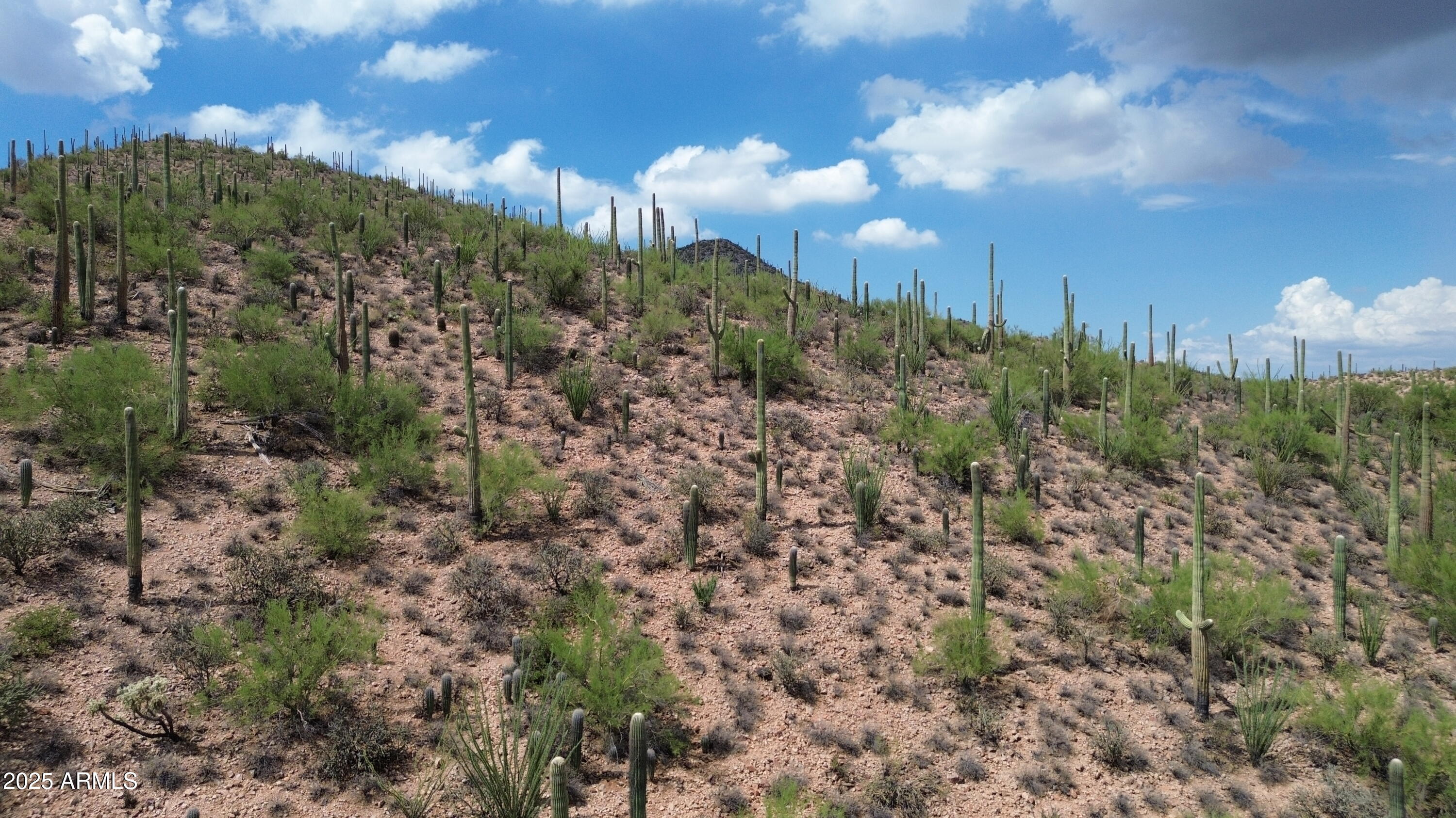 475 South Hotel Service Road Tucson, AZ 85745 - Photo 48 of 62 a view of a city