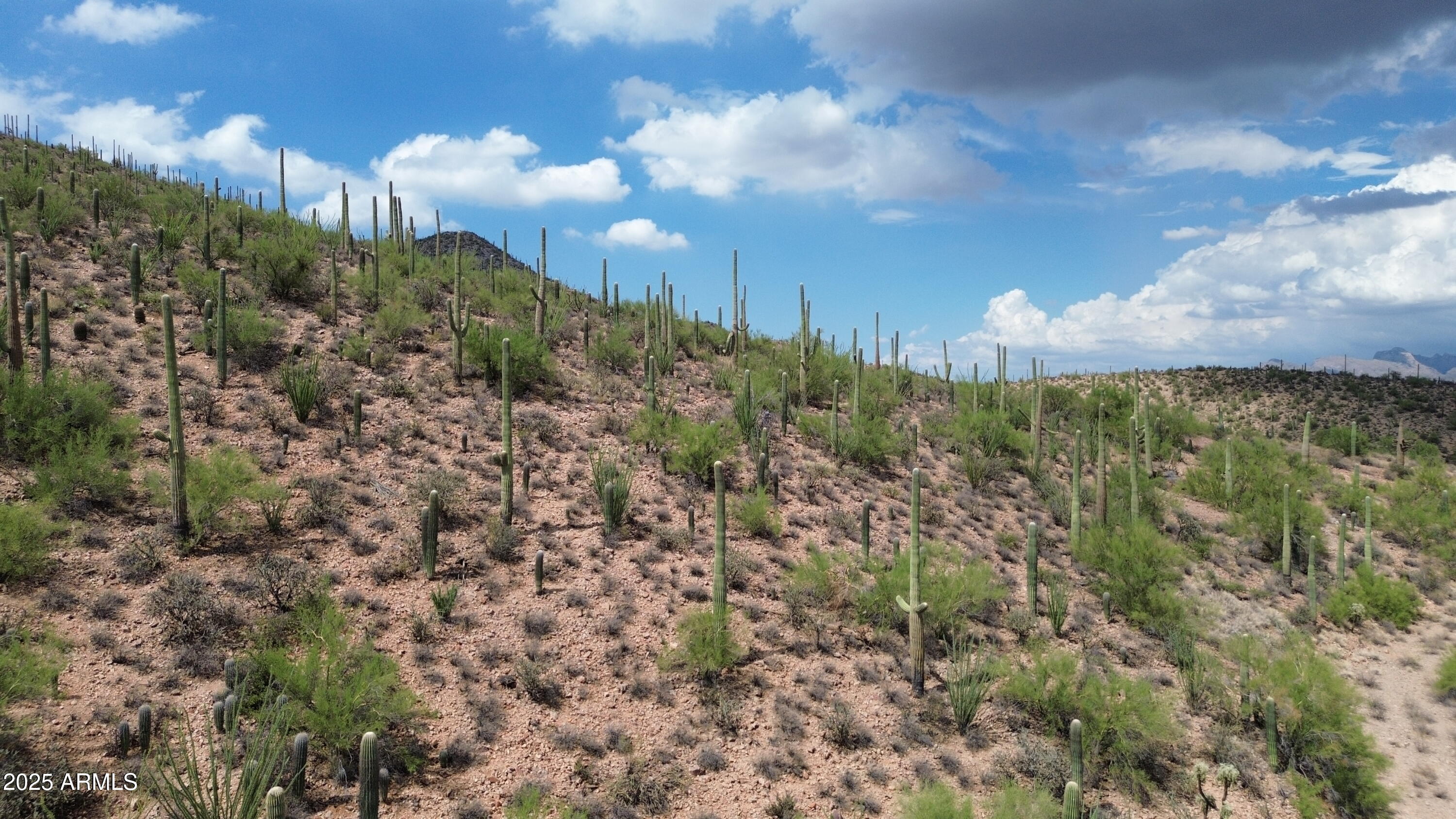 475 South Hotel Service Road Tucson, AZ 85745 - Photo 49 of 62 DJI_0778