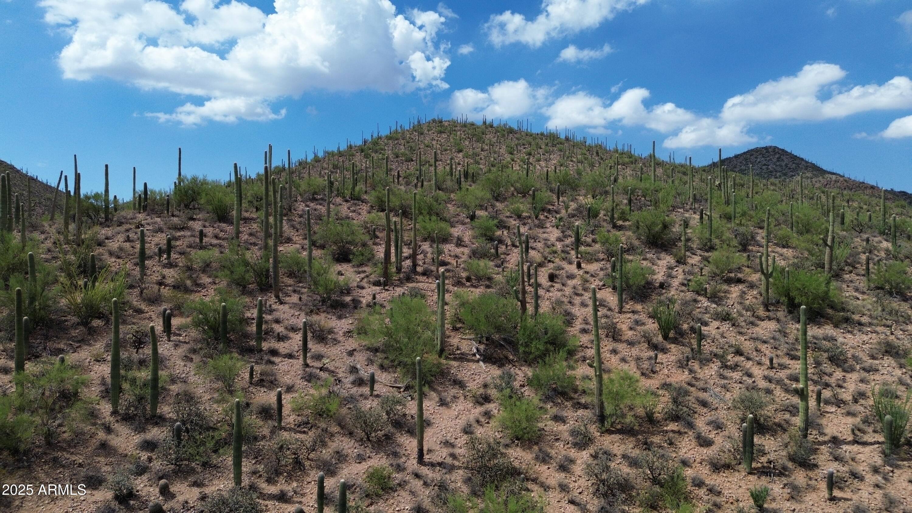475 South Hotel Service Road Tucson, AZ 85745 - Photo 56 of 62 a view of a city