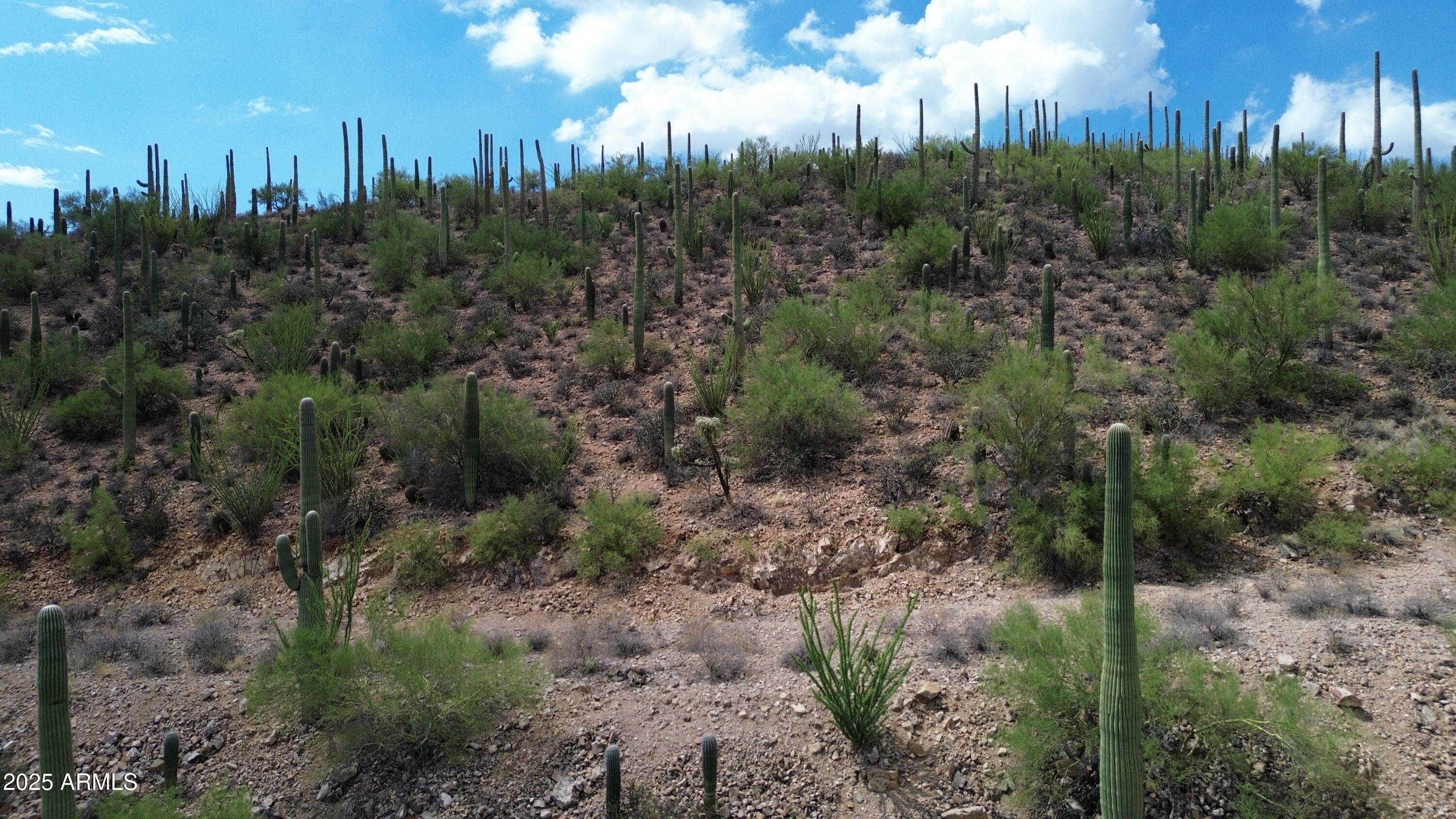 475 South Hotel Service Road Tucson, AZ 85745 - Photo 6 of 62 a view of a city with lush green forest