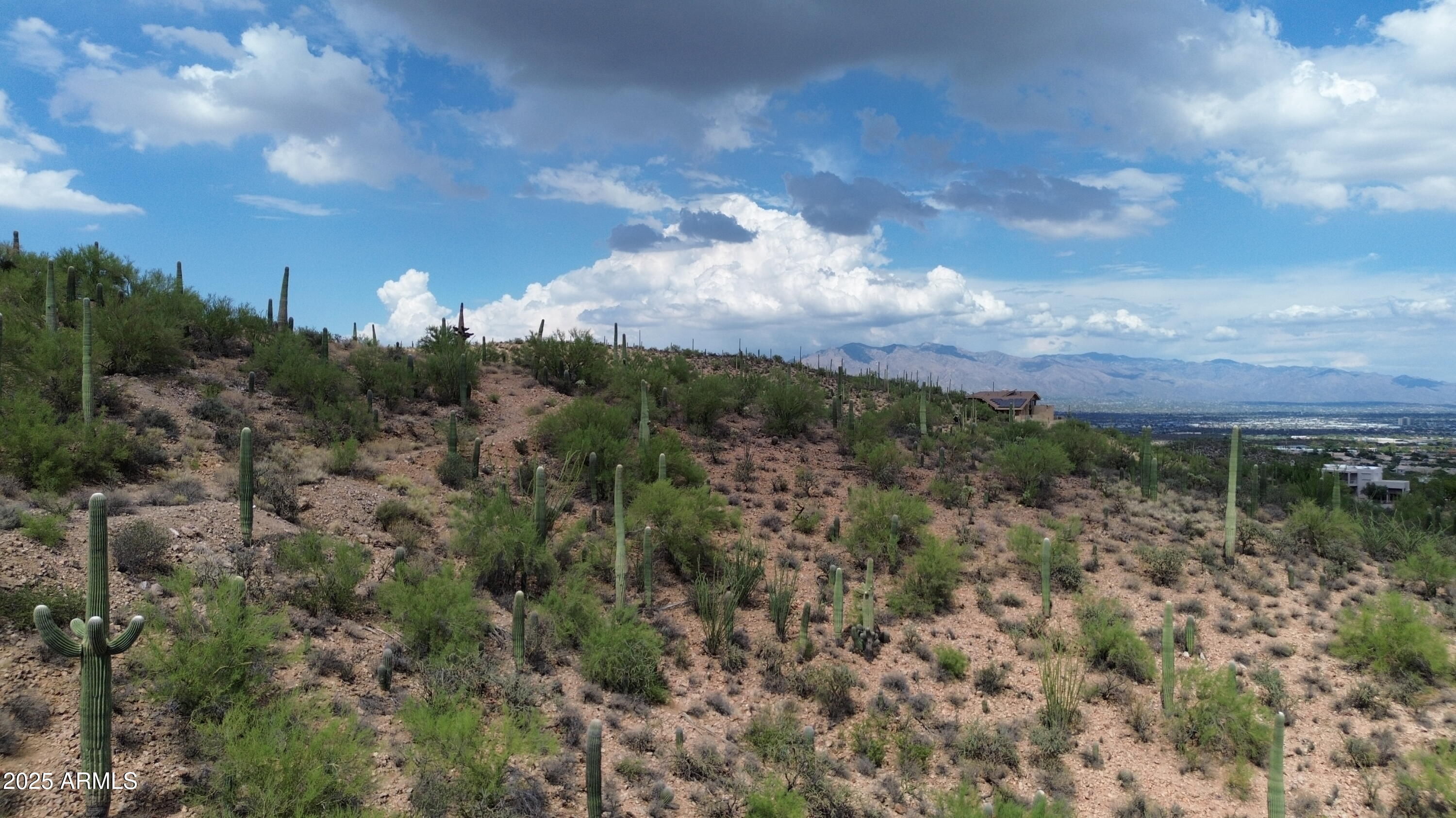 475 South Hotel Service Road Tucson, AZ 85745 - Photo 62 of 62 a view of a lake with a yard