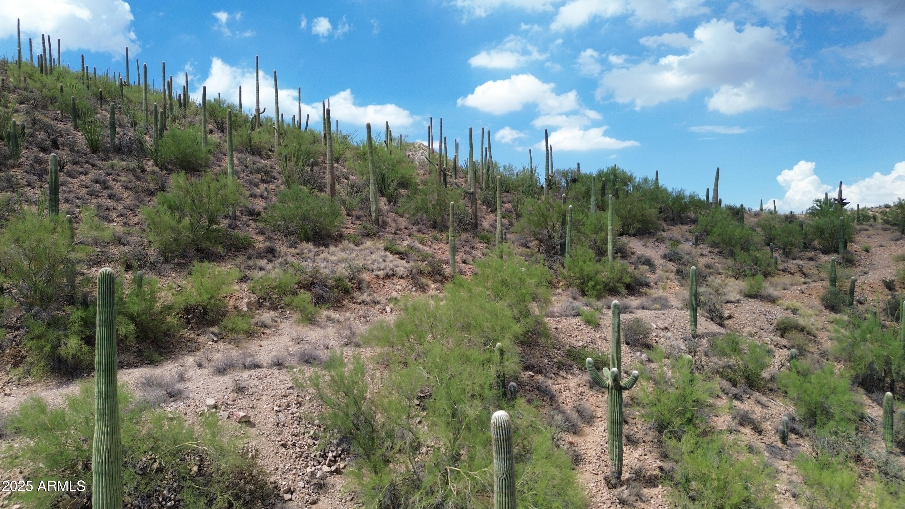 475 South Hotel Service Road Tucson, AZ 85745 - Photo 8 of 62 a view of a city with lush green forest