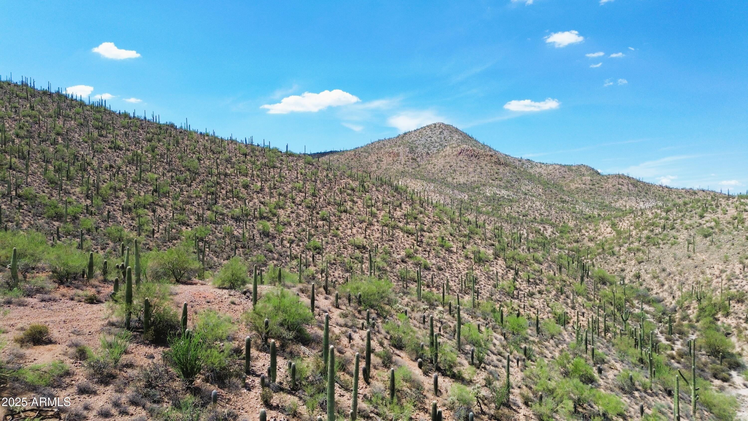 475 South Hotel Service Road Tucson, AZ 85745 - Photo 9 of 62 a view of a large building