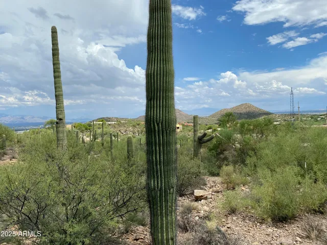 a view of a city with trees in the background