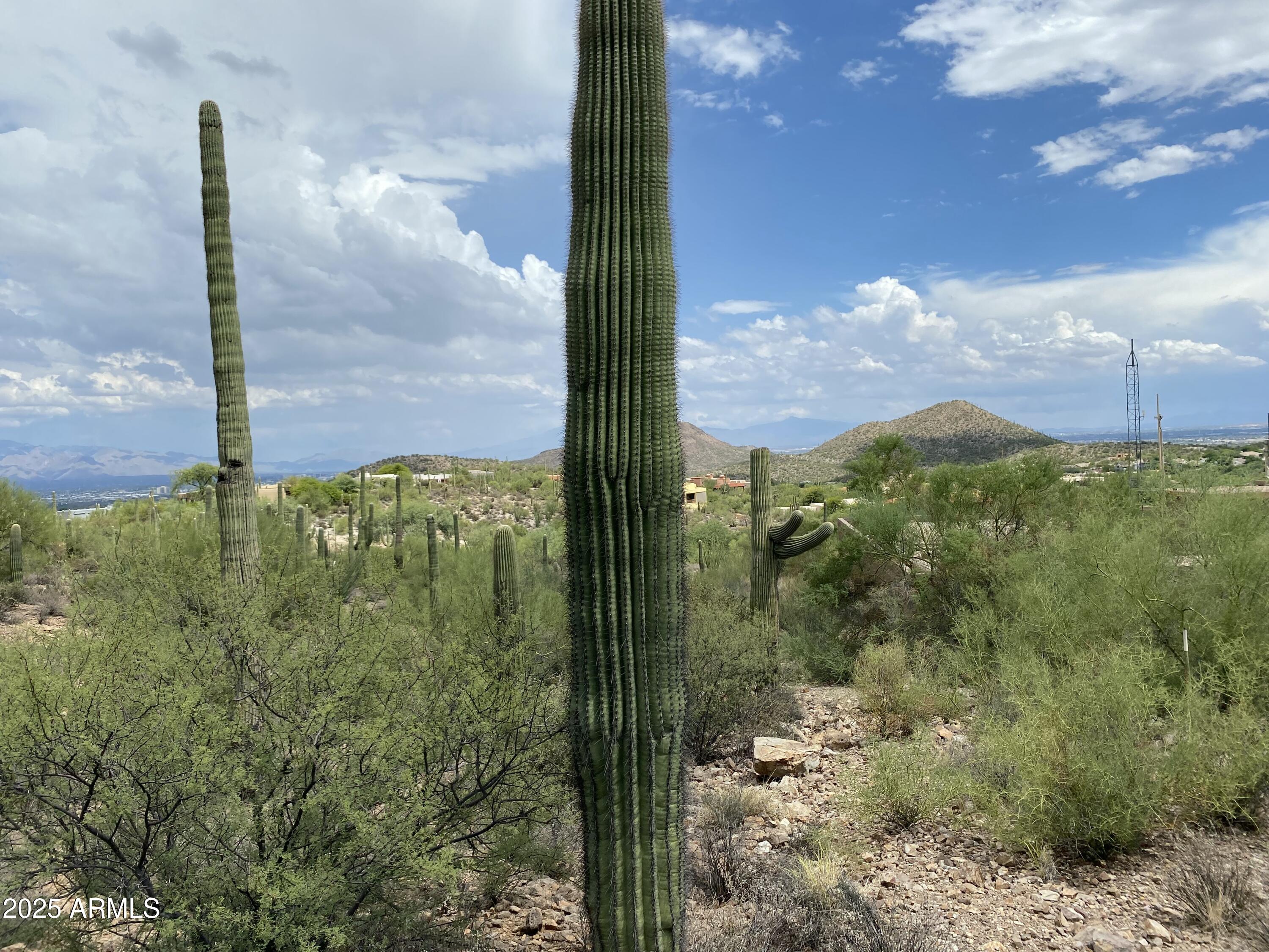 475 South Hotel Service Road Tucson, AZ 85745 - Photo 10 of 62 a view of a city