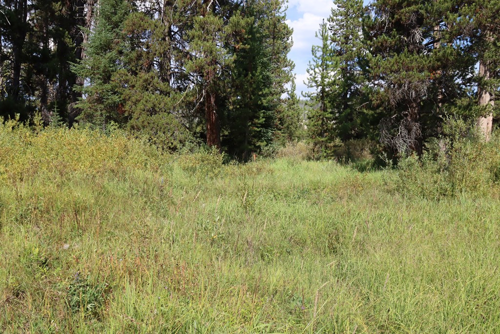 L49 Secesh River Road, Unit 49 McCall, ID 83638 - Photo 8 of 12