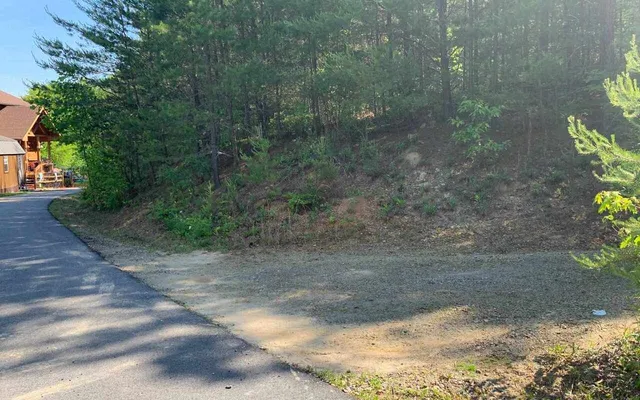a view of a yard with a trees