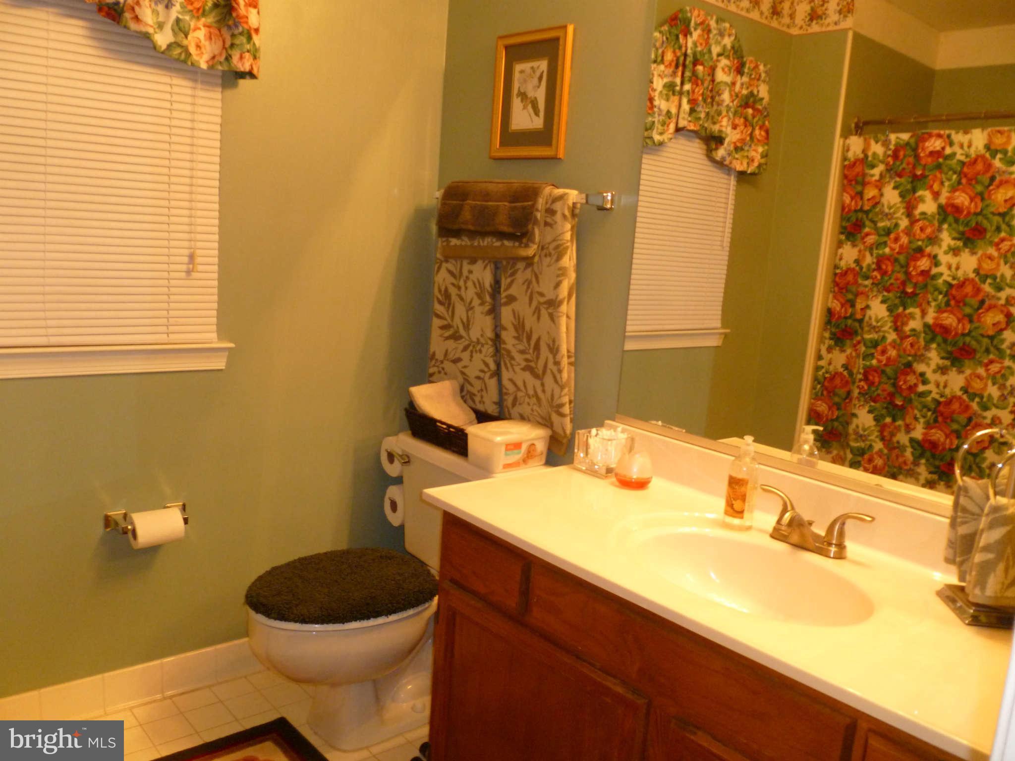 10225 Racquet Circle Manassas, VA 20110 - Photo 13 of 30 Bath (Master)