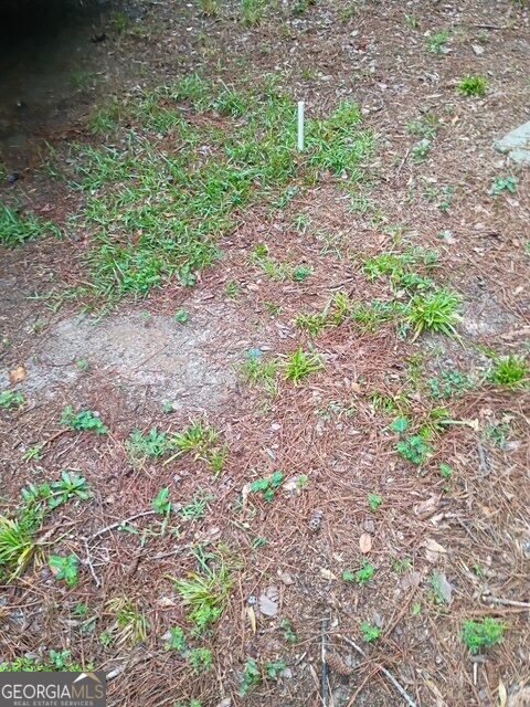 608 Idlewood Road Waynesboro, GA 30830 - Photo 5 of 10 Gallery Image 5
