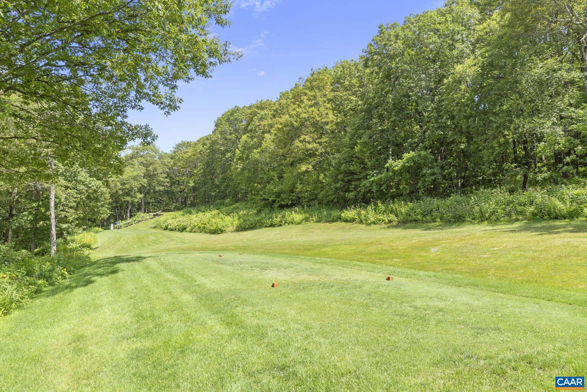 2212 Tanners Ridge Roseland, VA 22967 - Photo 31 of 32