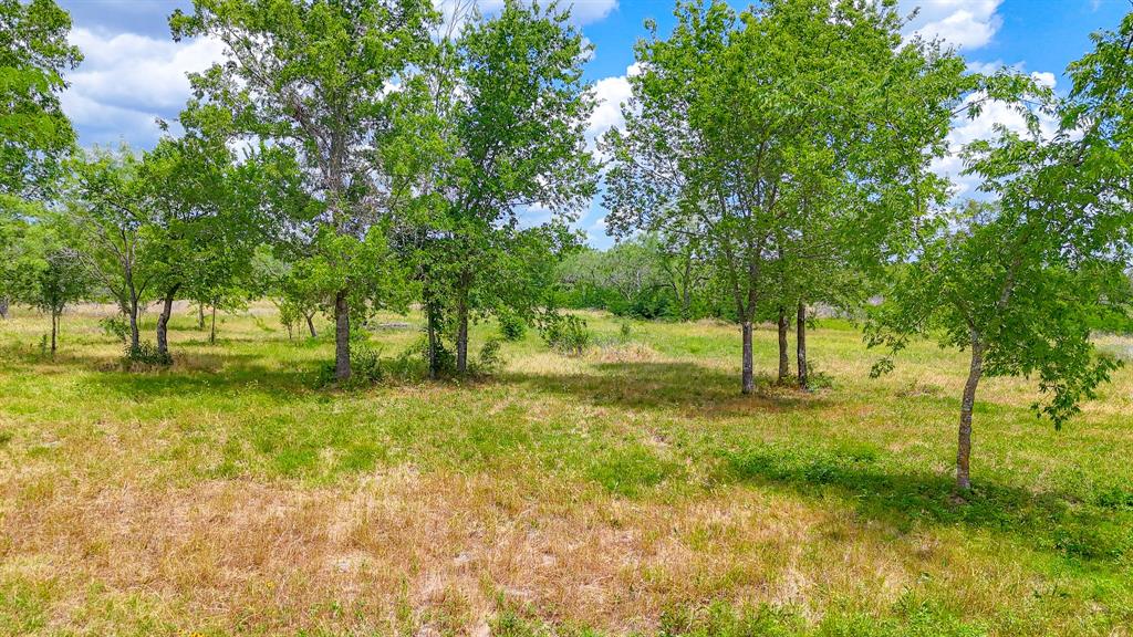 Lot 123 Palmito Ranch Road Corsicana, TX 75110 - Photo 14 of 23 a view of yard with tree