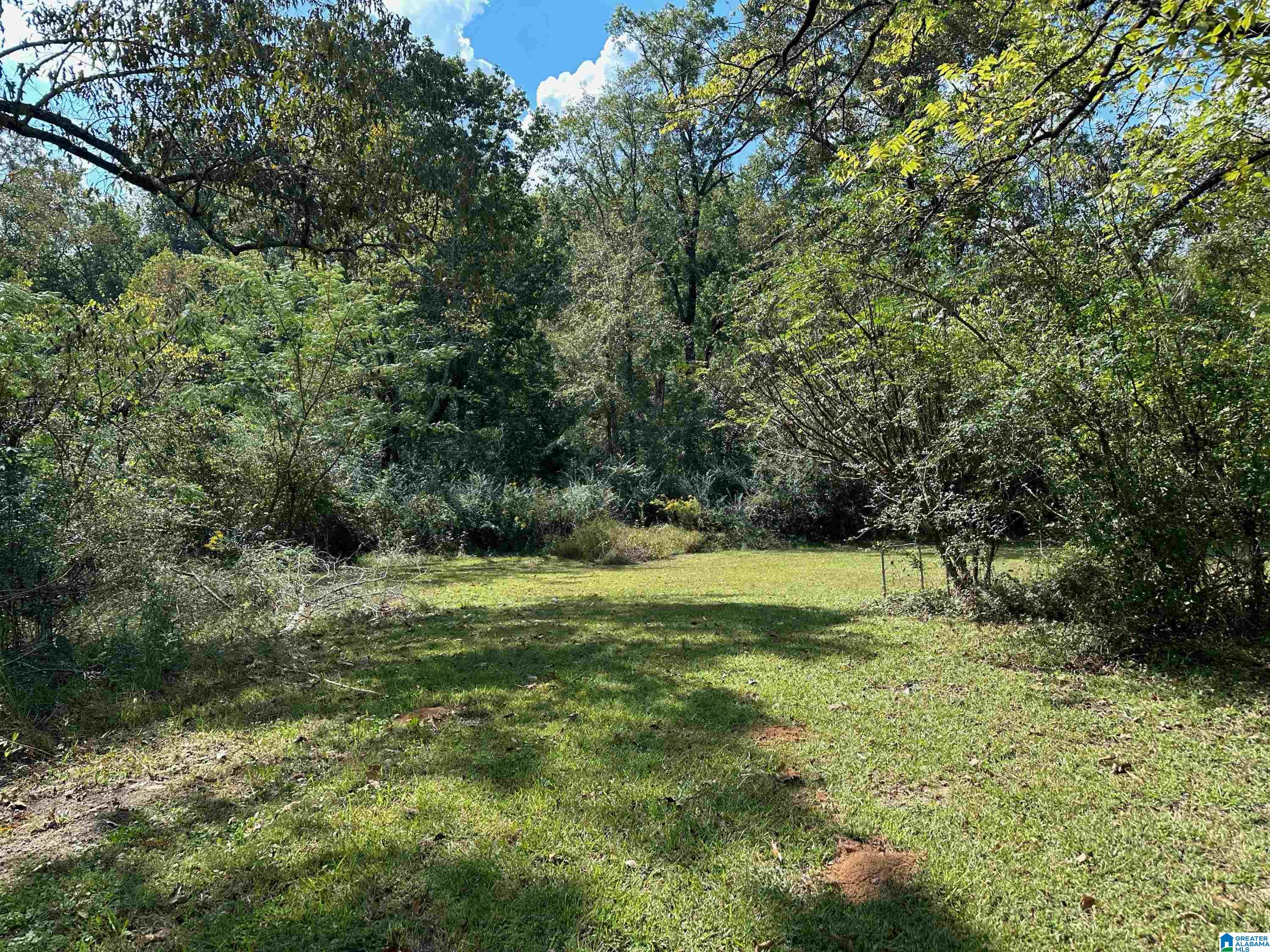 9204 Marsh Mountain Road Pinson, AL 35126 - Photo 38 of 56