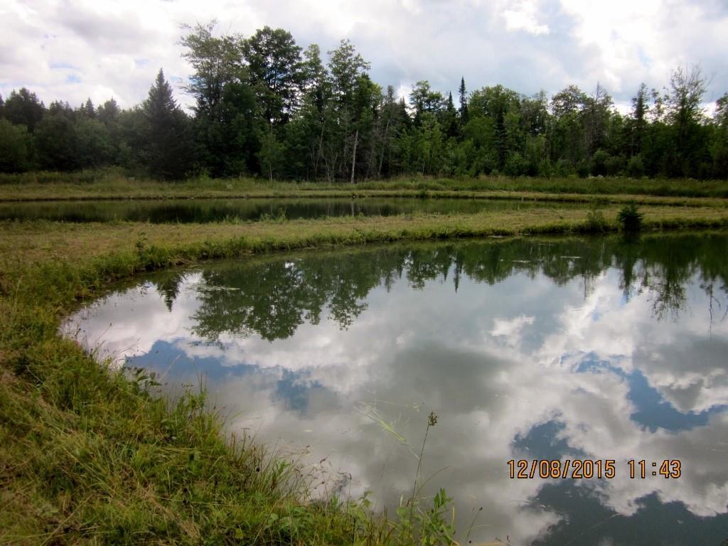 2 Trafton Road Parkman, ME 04443 - Photo 19 of 21 Pond