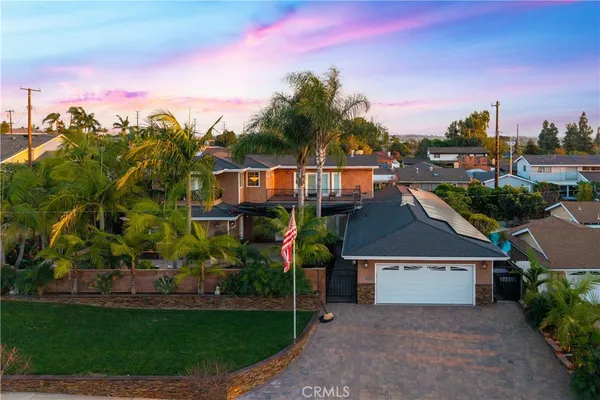 a view of a yard with palm plants