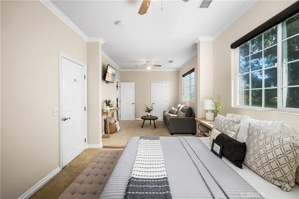 a view of a yard with plants