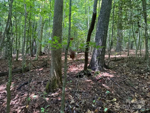 a view of outdoor space with green space