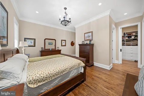 a living room with furniture and potted plants