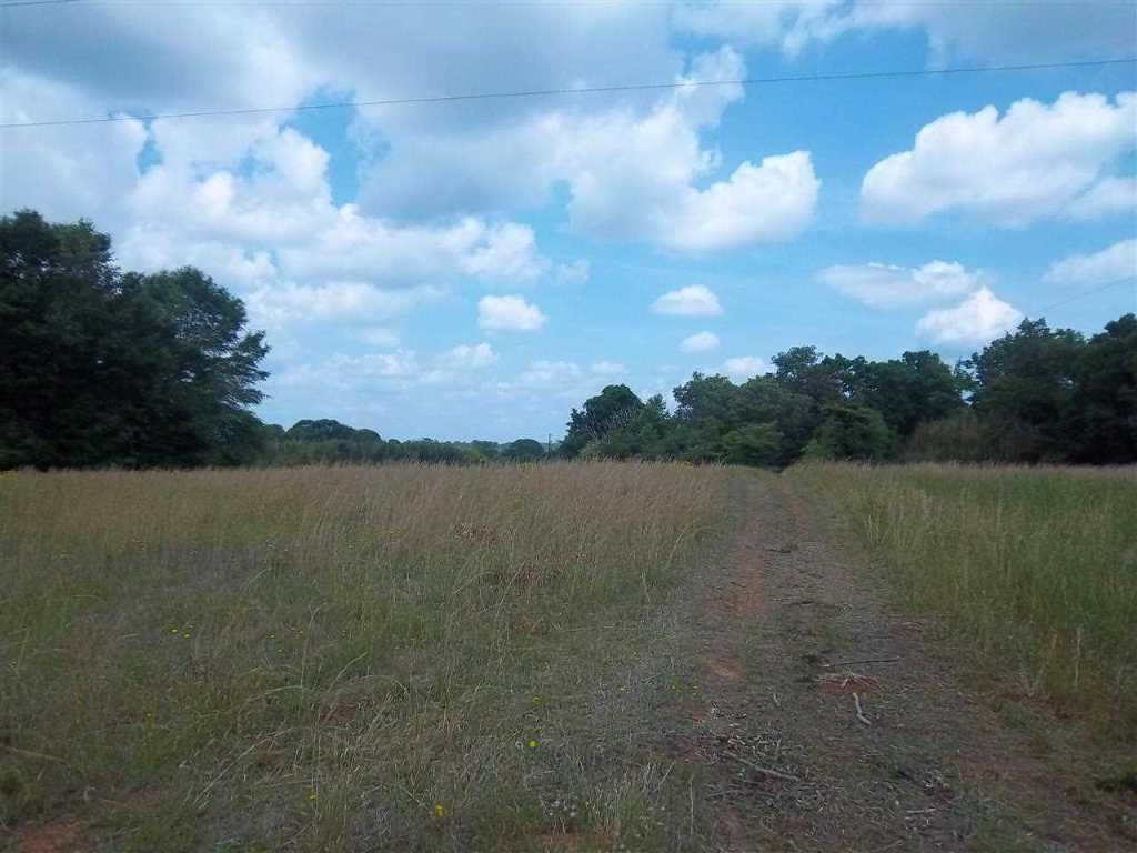 31007 Rehoboth Road Piedmont, SC 29673 - Photo 2 of 5 Gallery Image 2