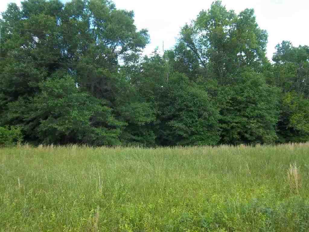 31007 Rehoboth Road Piedmont, SC 29673 - Photo 3 of 5 Gallery Image 3