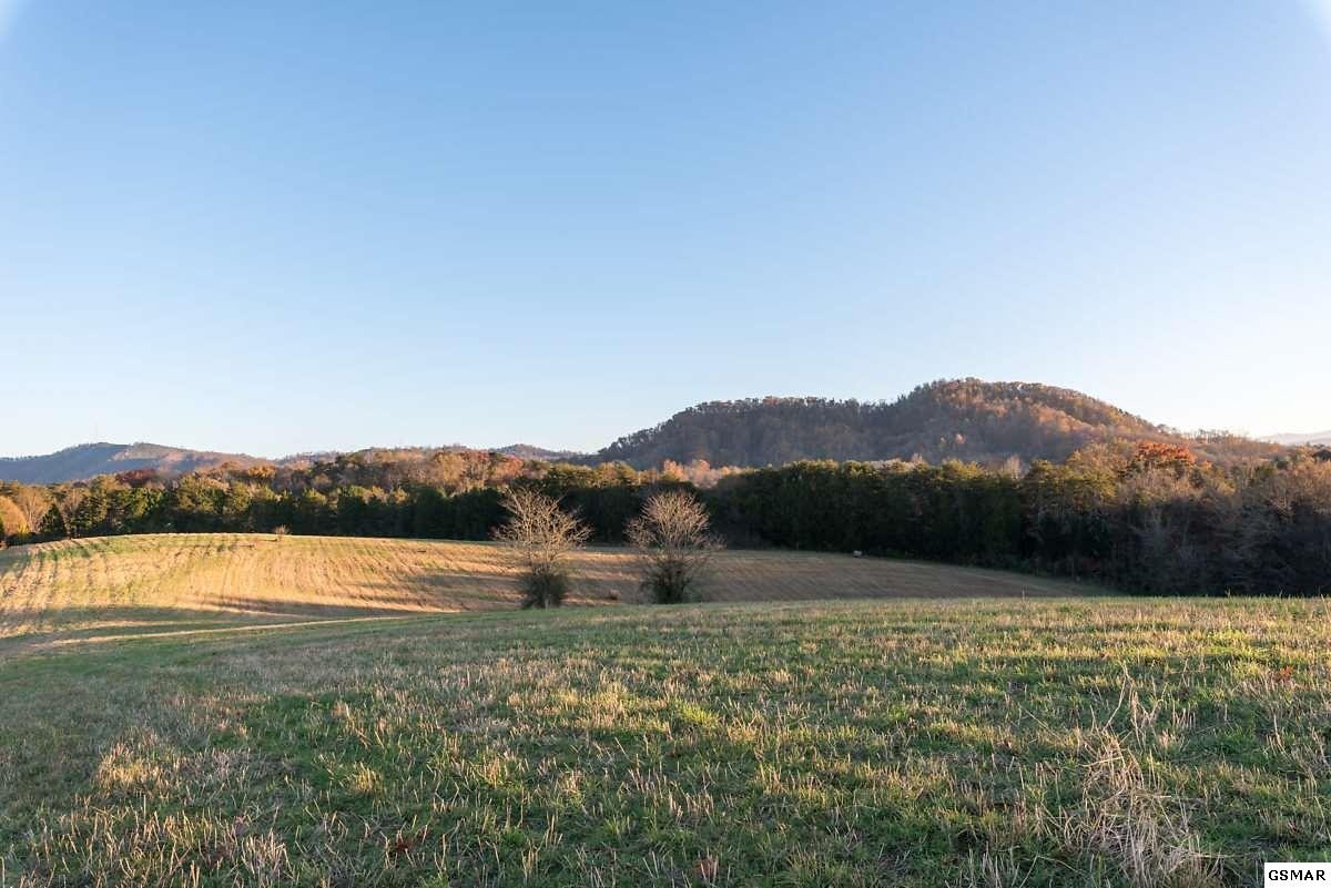 2854 Acres Denton Road Sevierville, TN 37862 - Photo 3 of 9