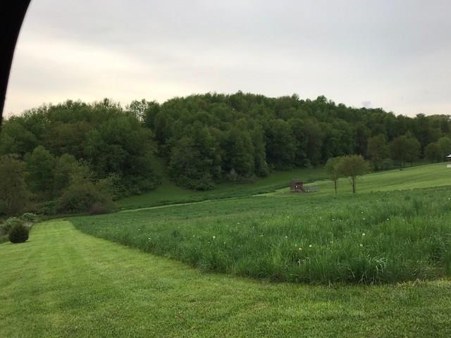 137 McCreight Road Shelocta, PA 15774 - Photo 18 of 21 Exterior View - Looking down from McCreight Road - Chicken Coop in back.