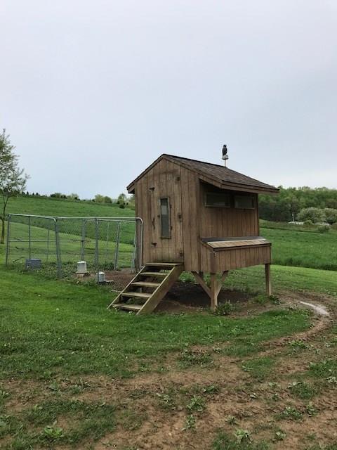 137 McCreight Road Shelocta, PA 15774 - Photo 20 of 21 Chicken Coop - Have fresh eggs every day!