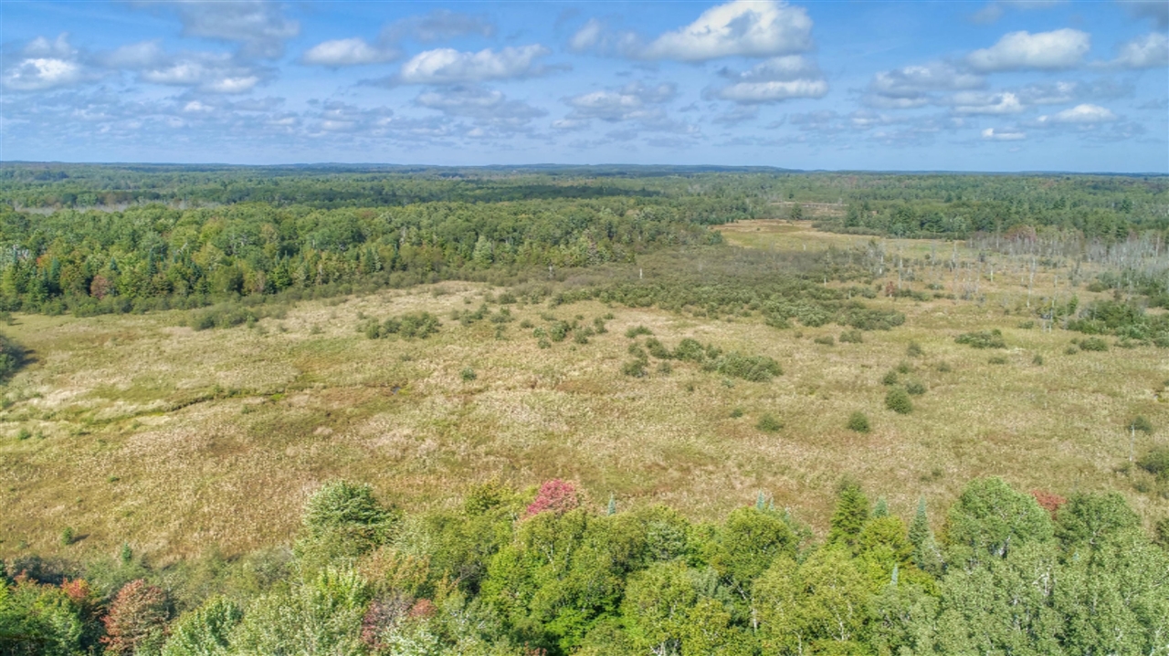 779 North Sharon Road Southeast Fife Lake, MI 49633 - Photo 20 of 27