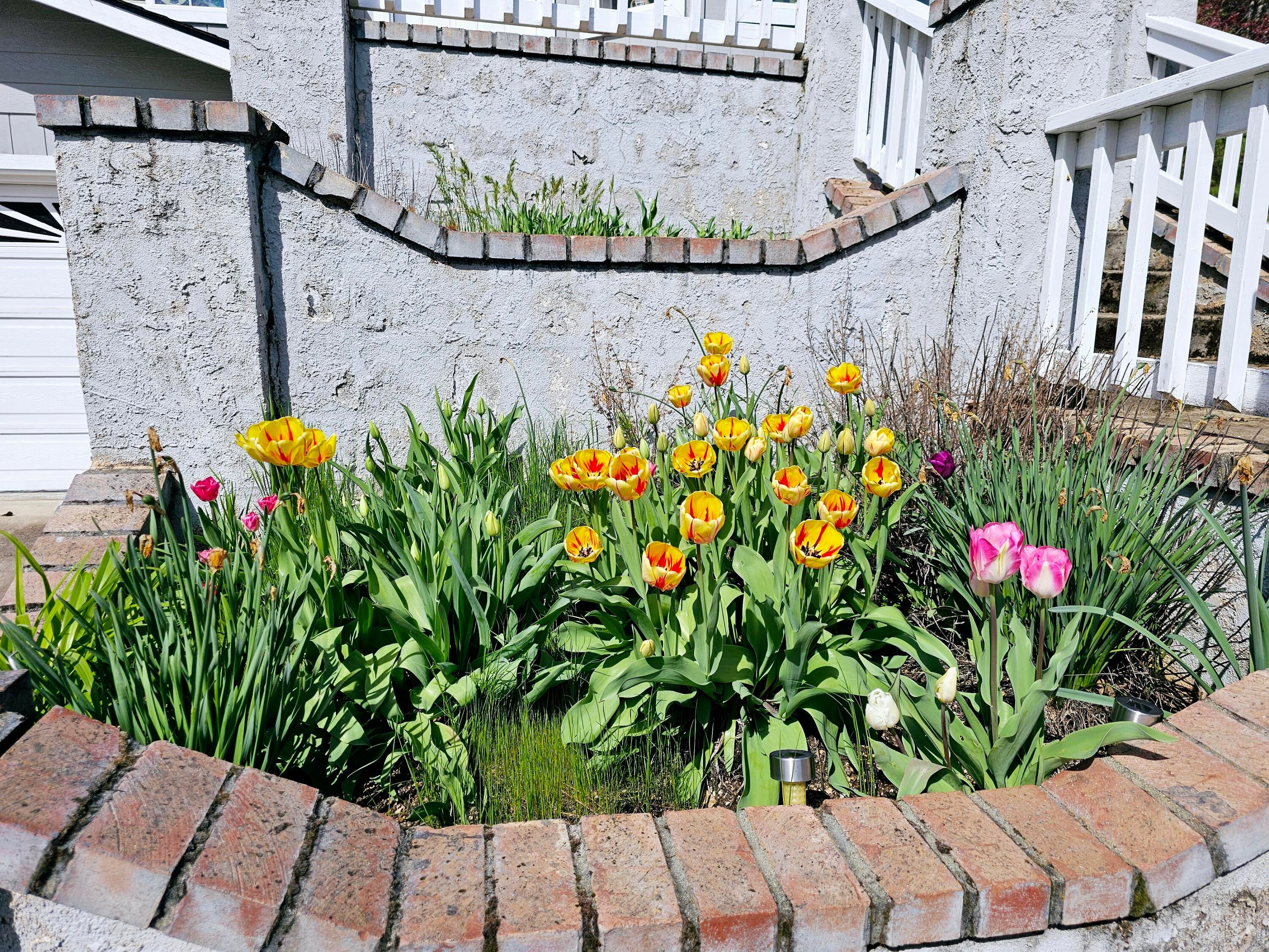 344 Rene Drive Shady Cove, OR 97539 - Photo 12 of 50 12 Spring flowers