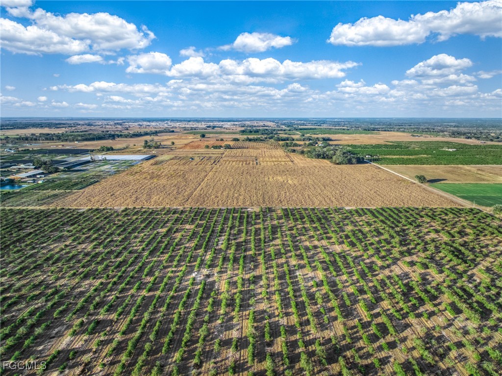 Rest Haven Road Zolfo Springs, FL 33890 - Photo 15 of 27