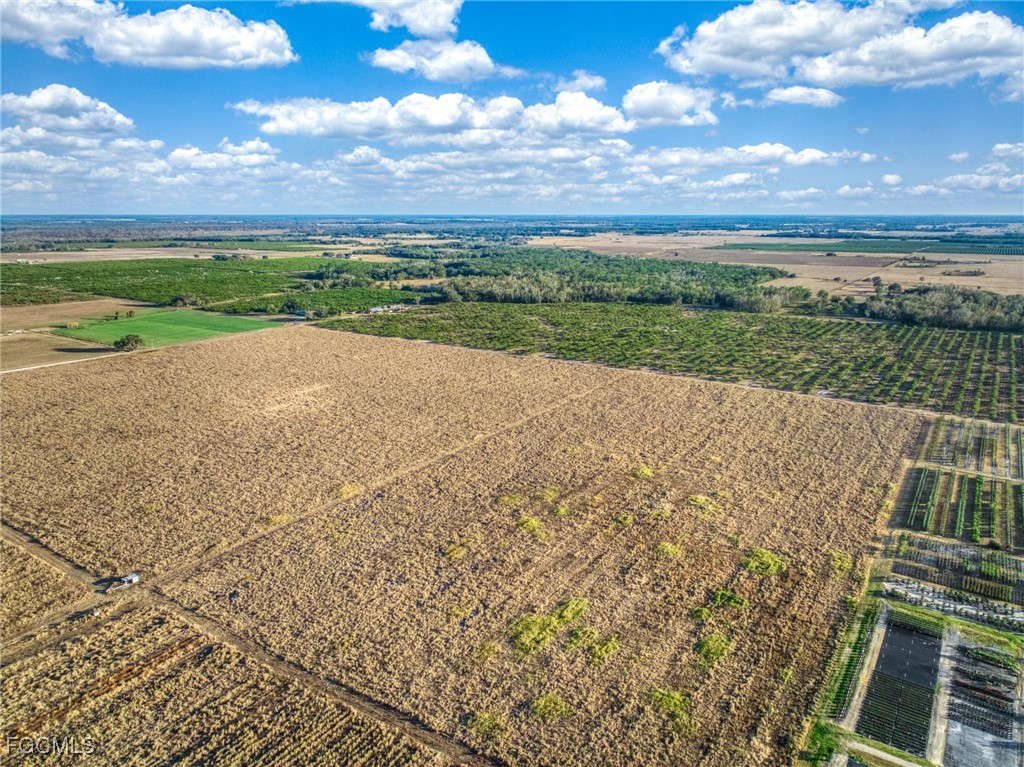 Rest Haven Road Zolfo Springs, FL 33890 - Photo 17 of 27