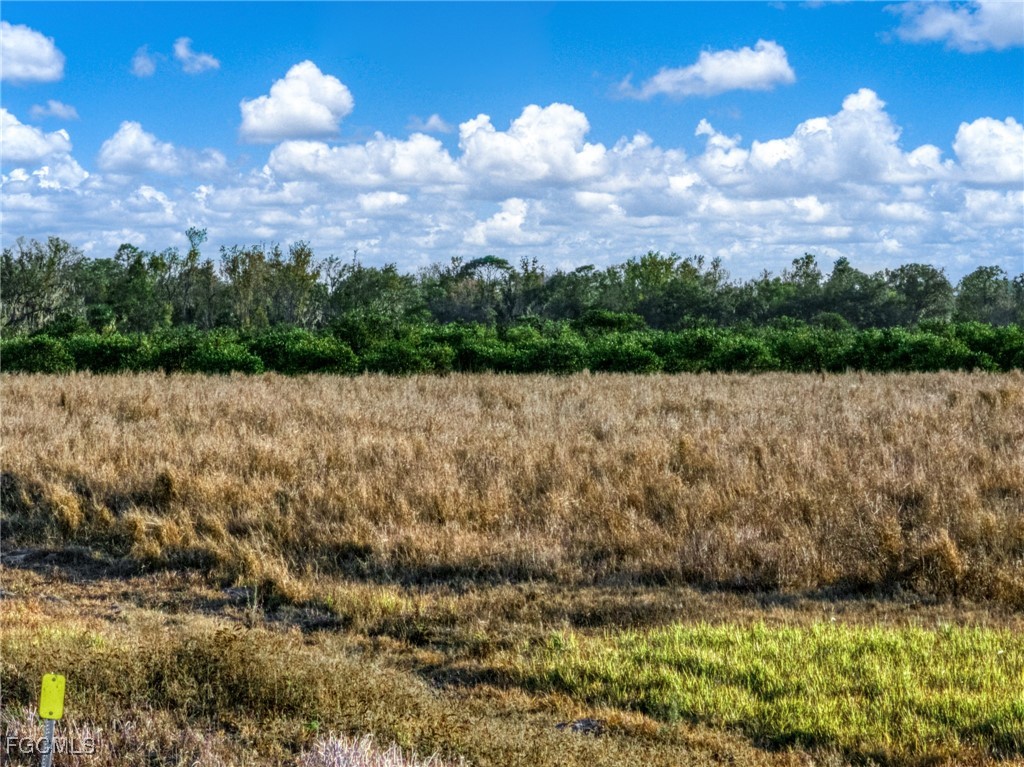 Rest Haven Road Zolfo Springs, FL 33890 - Photo 18 of 27