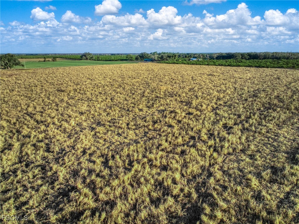 Rest Haven Road Zolfo Springs, FL 33890 - Photo 19 of 27