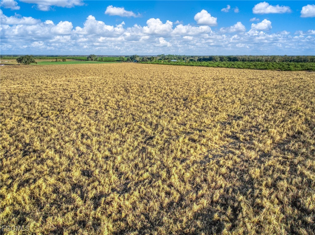 Rest Haven Road Zolfo Springs, FL 33890 - Photo 20 of 27