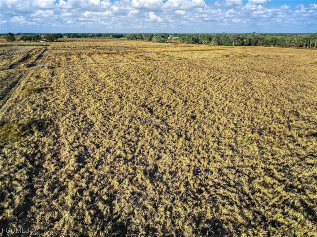 Rest Haven Road Zolfo Springs, FL 33890 - Photo 21 of 27