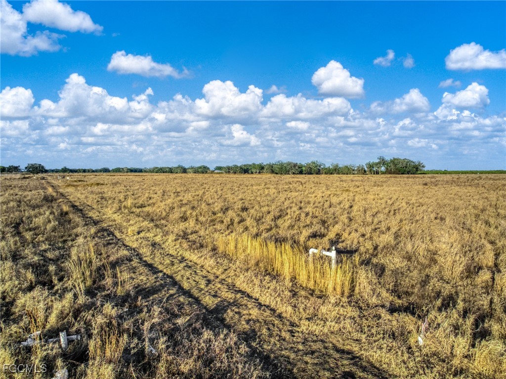 Rest Haven Road Zolfo Springs, FL 33890 - Photo 22 of 27