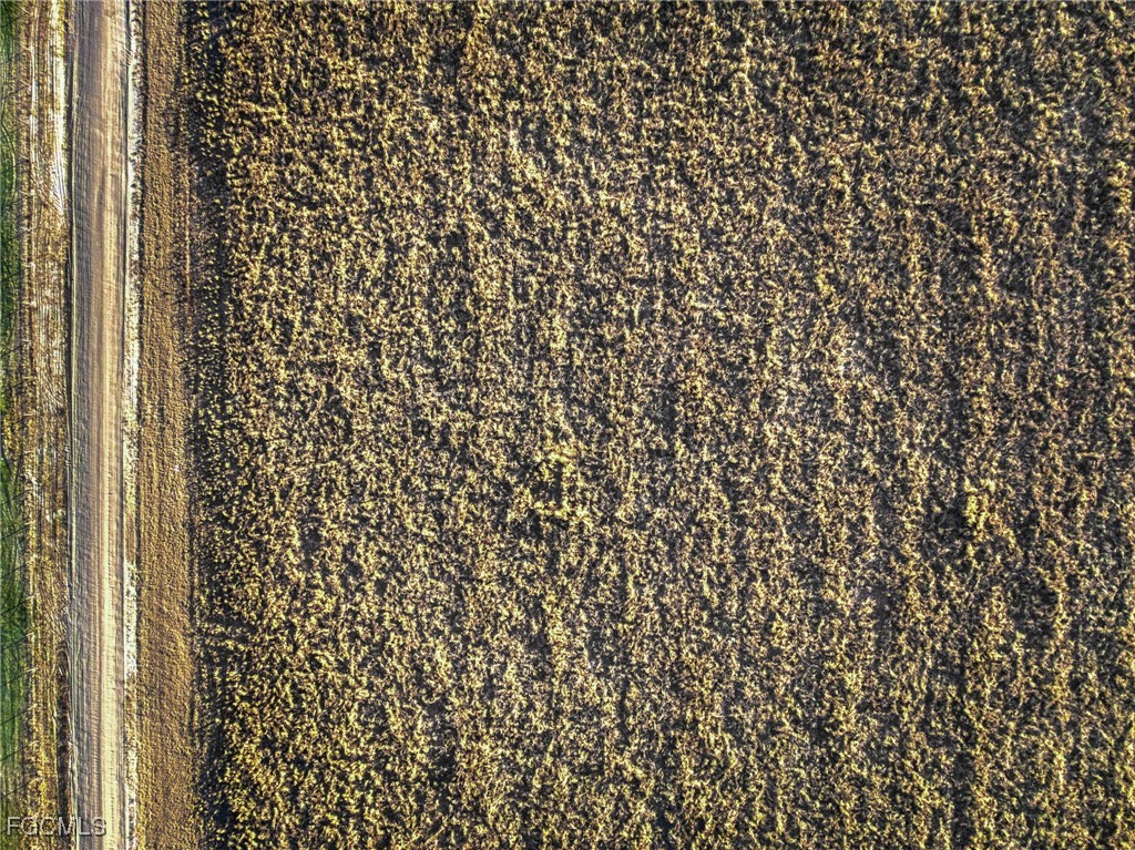 Rest Haven Road Zolfo Springs, FL 33890 - Photo 6 of 27