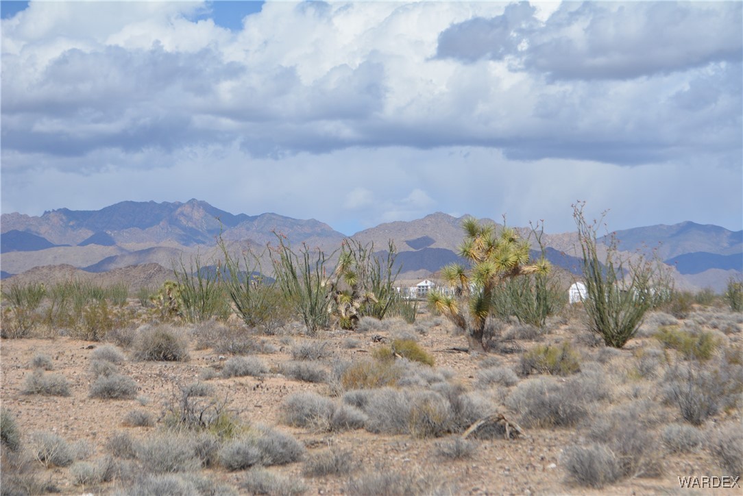 245-24-107 South Rainbow Road Yucca, AZ 86438 - Photo 3 of 91