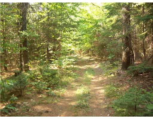 808 N Road Newburgh, ME 04444 - Photo 11 of 25 Land.