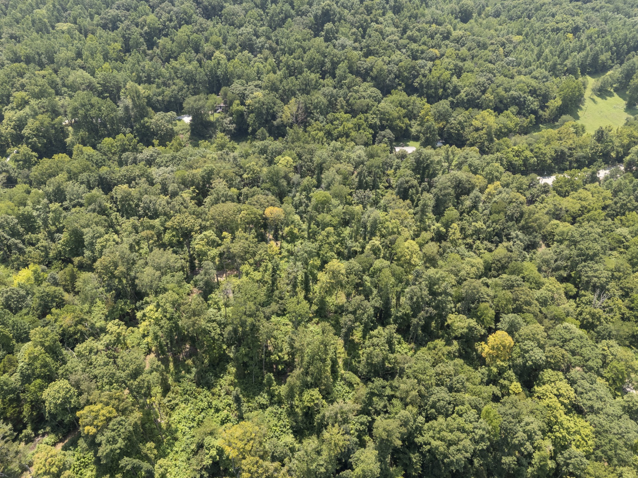 0 Slayden Wood Road Vanleer, TN 37181 - Photo 10 of 25 Gallery Image 10