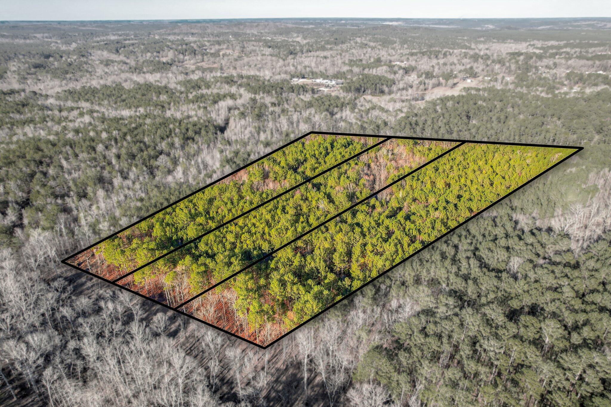 5479 Tubman Road Appling, GA 30802 - Photo 3 of 6 103 (9)