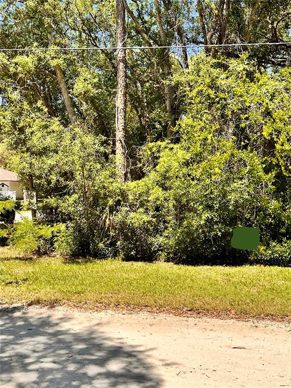 12th Street Orange City, FL 32763 - Photo 1 of 12