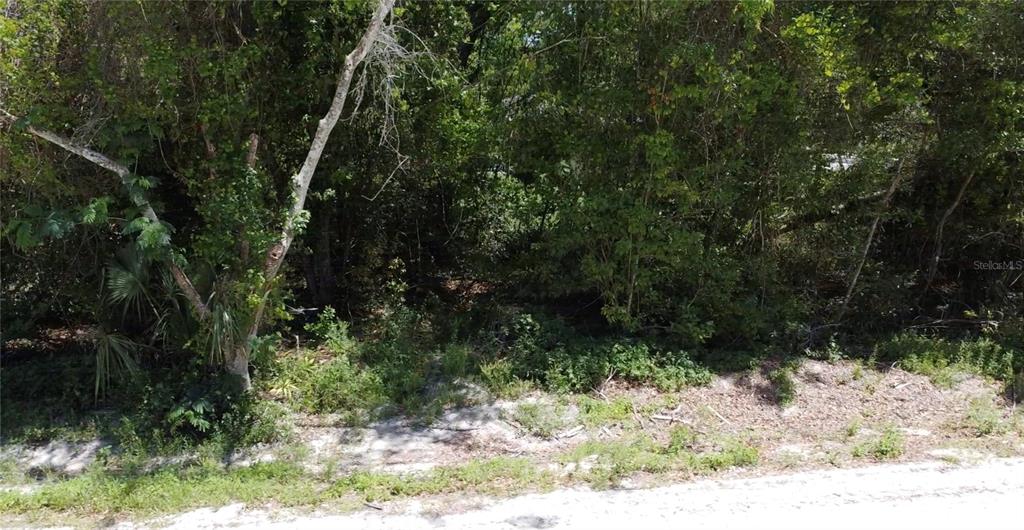12th Street Orange City, FL 32763 - Photo 11 of 12