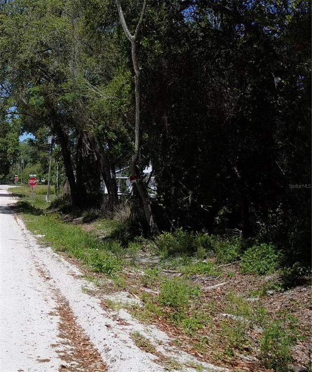 12th Street Orange City, FL 32763 - Photo 12 of 12